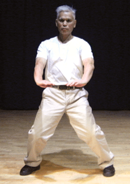 Kung Fu martial arts-sifu Yap Leong